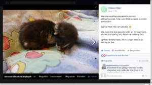 Példa elavult információra a facebookon