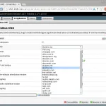 OpenVpn dinamikus DNS lehetőségek